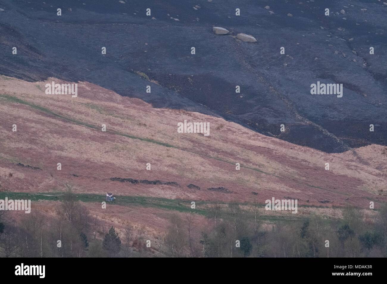 Oldham, UK. 19 avril 2018. Les services d'urgence demeurent sur les lieux d'un incendie dans les landes près de Oldham Réservoir Dovestone le Jeudi, Avril 19, 2018, dont la majorité a été éteint. Les pompiers a lutté pour contenir l'incendie qui a commencé à partir de 14h30. Crédit : Christopher Middleton/Alamy Live News Banque D'Images