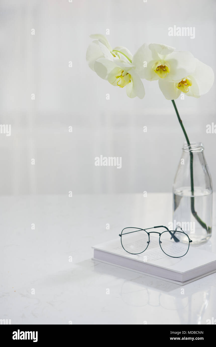 Branche d'orchidée blanche dans un vase sur la table. Banque D'Images