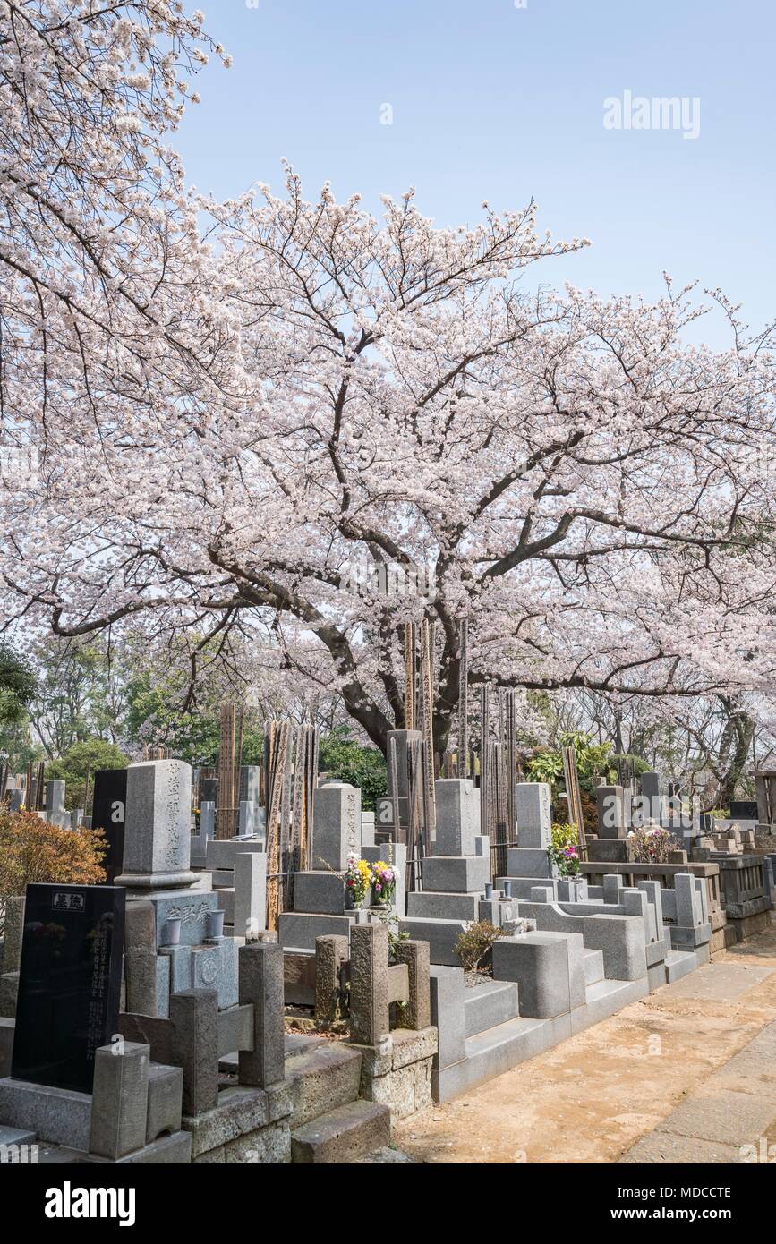 Cimetière de style traditionnel japonais, Ikegami Honmonji temple, Tokyo, Tokyo, Japon Banque D'Images