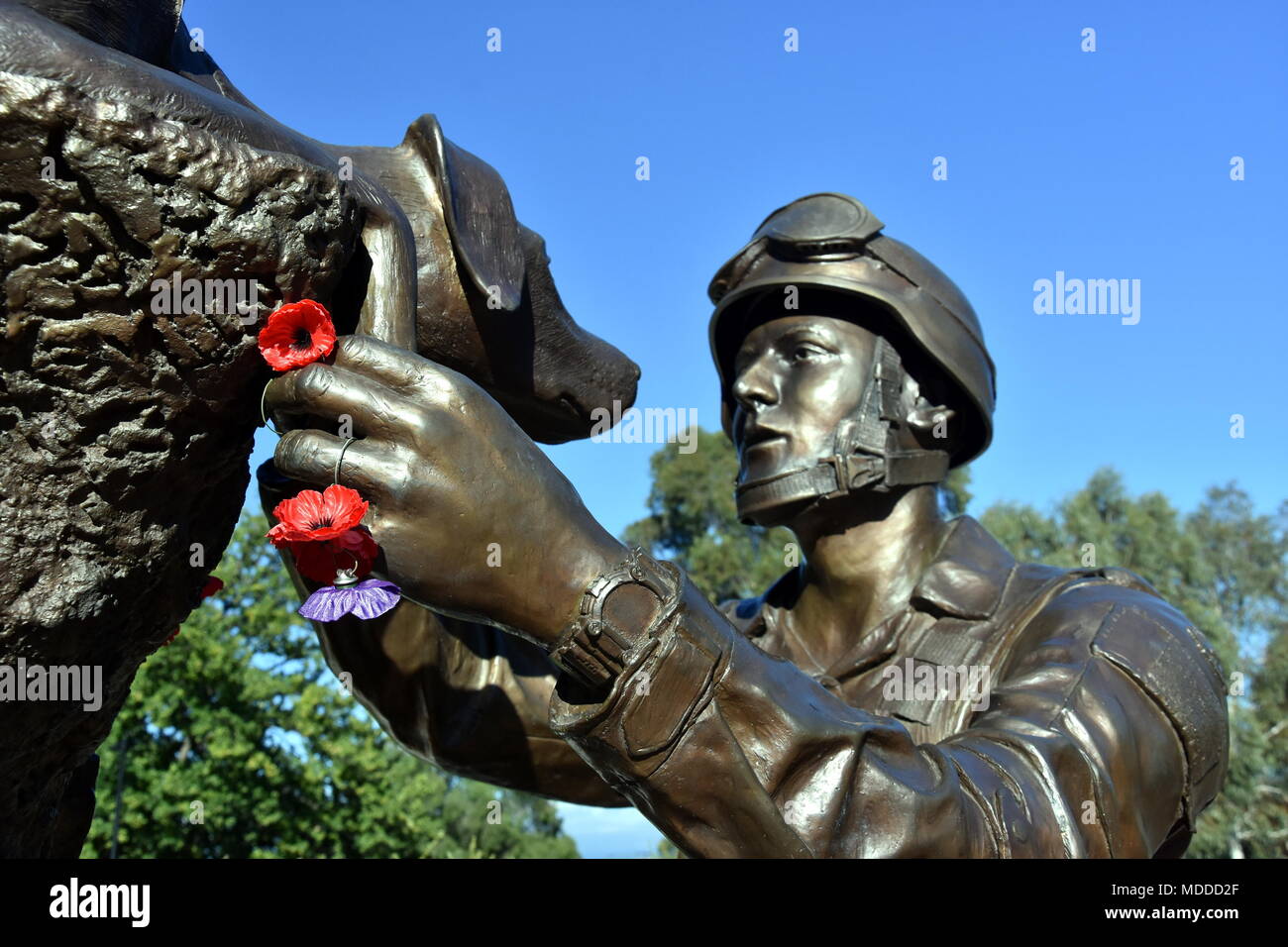 Canberra, Australie - 10 mars 2018. Sculpture commémorant le rôle essentiel et la contribution des chiens détecteurs d'explosifs et de leurs maîtres dans la guerre. Banque D'Images