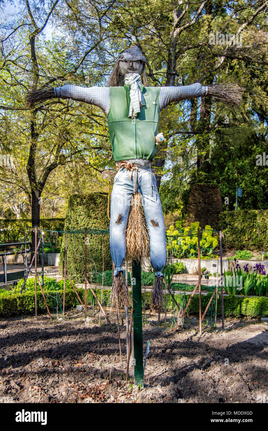 Épouvantail dans le vrai Jardín Botánico de Madrid. Espagne Banque D'Images