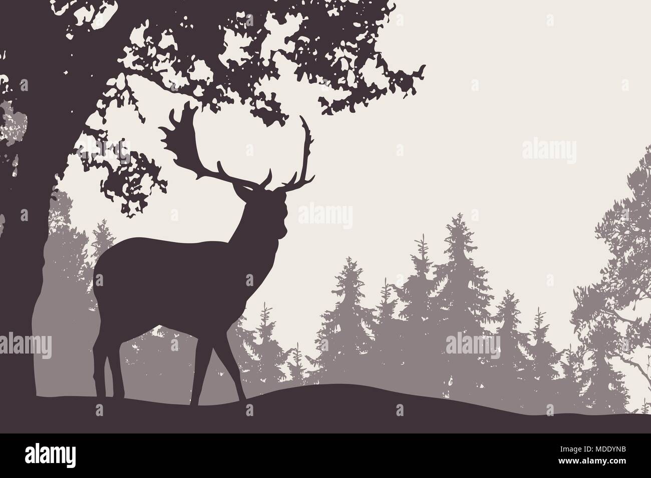 Vector illustration d'un daim debout sous un arbre à feuilles caduques avec la forêt de conifères en arrière-plan - convient comme une publicité pour natur Illustration de Vecteur