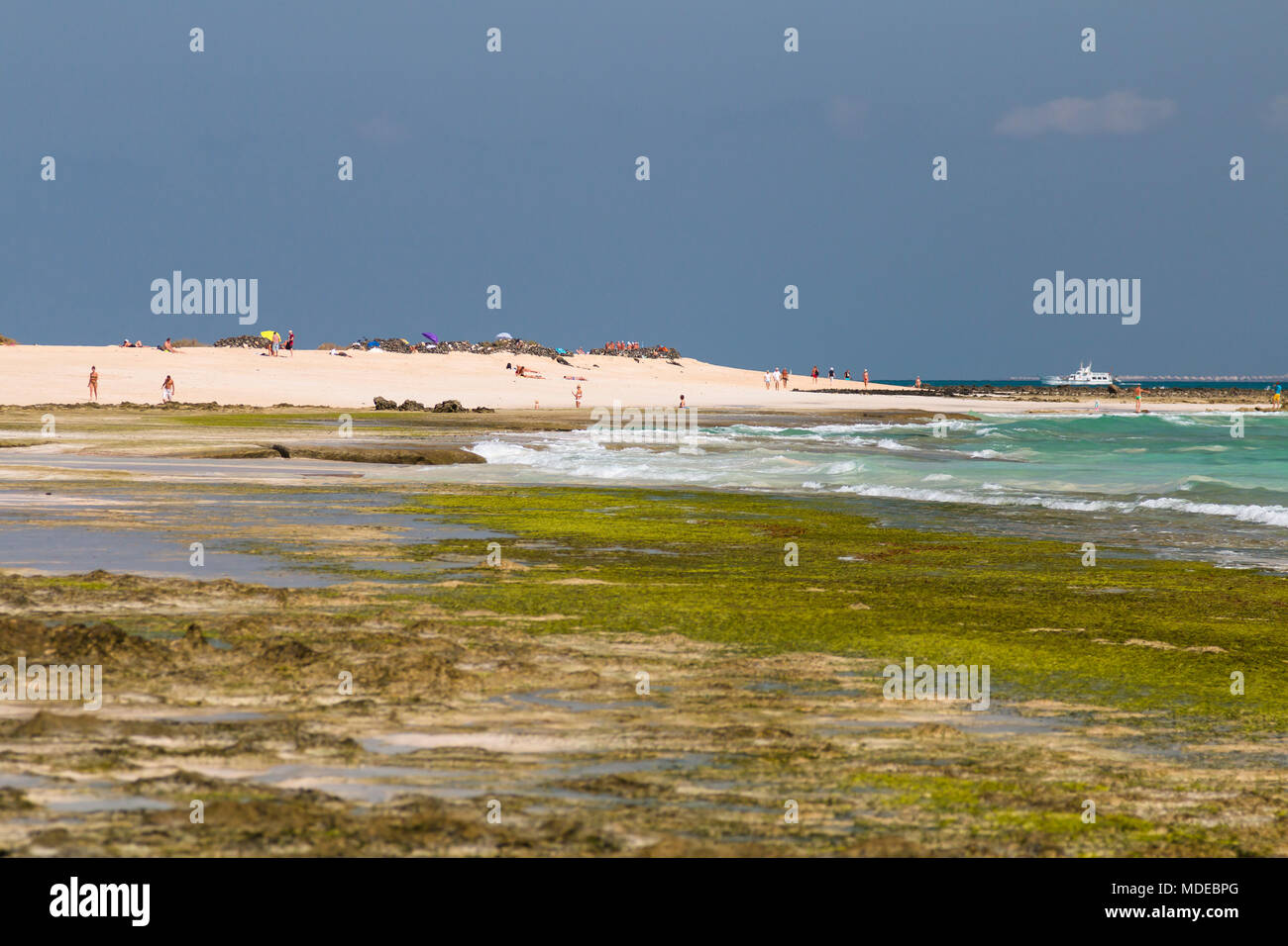 FUERTEVENTURA - 1 octobre : les touristes de détente sur la plage près de Corralejo, Fuerteventura, Espagne avec les roches et les algues dans l'avant-plan le 1 octobre Banque D'Images