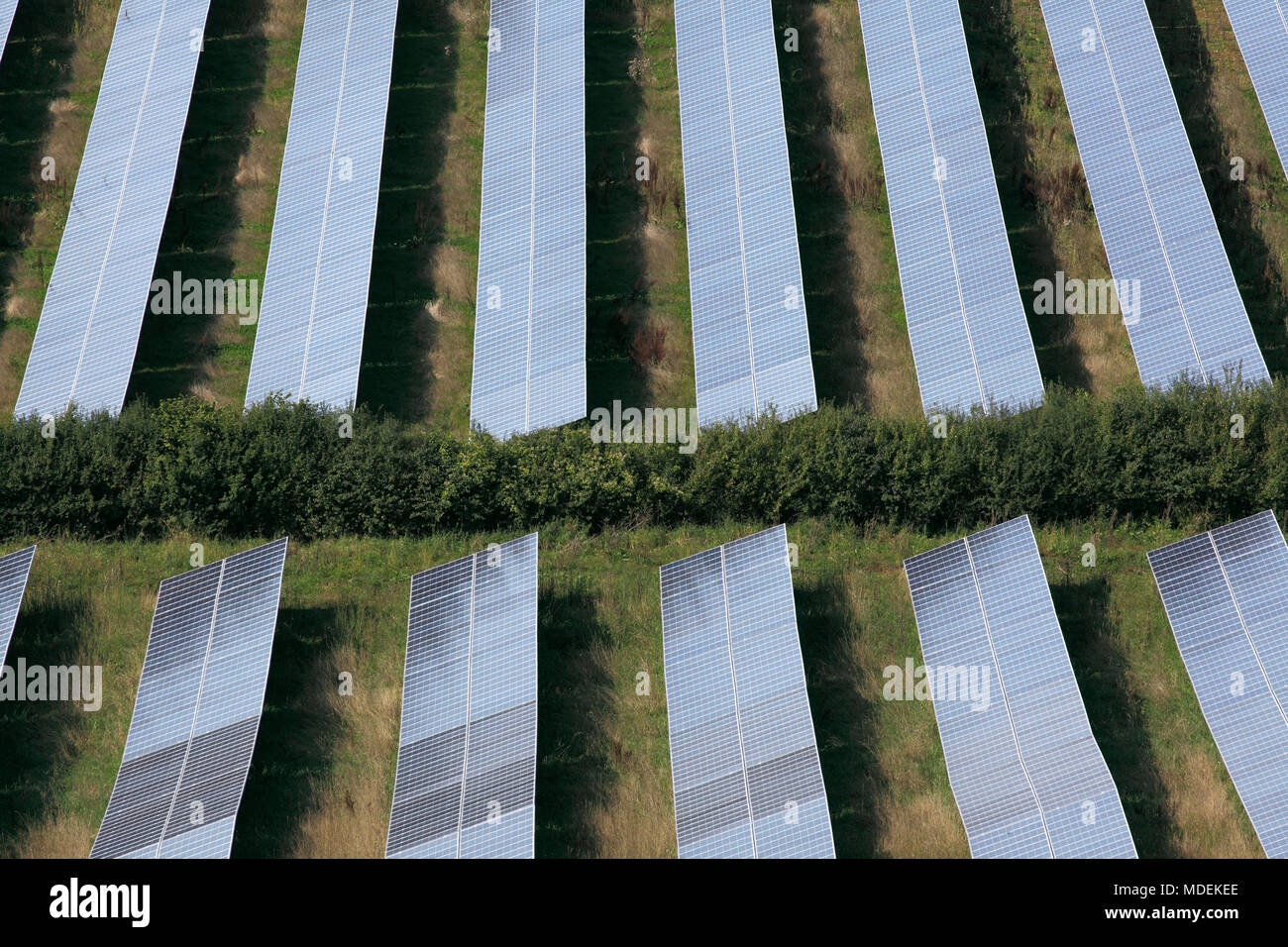 Sur certains des des panneaux photovoltaïques qui composent la ferme solaire Port Milborne, près de Milborne Port, Somerset. Banque D'Images