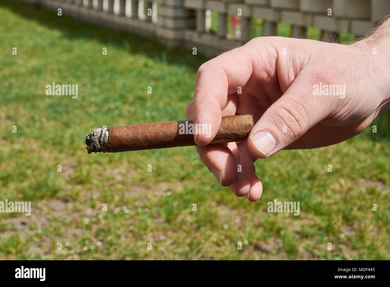 La main d'un homme tenant un cigare de gravure, avec une pelouse floue et un mur de brique à l'arrière-plan sur une journée ensoleillée Banque D'Images