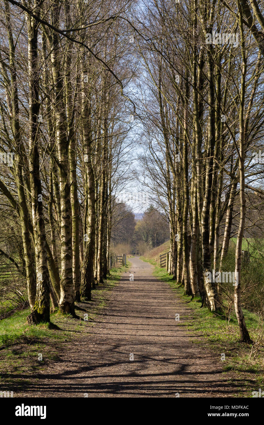 Ligne de chemin de fer désaffectée à Featherstone, Northumberland Banque D'Images