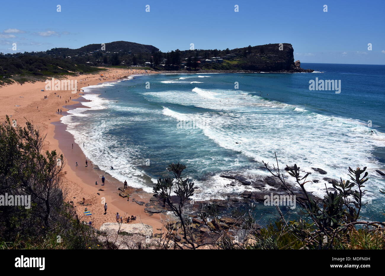 Vue panoramique sur la plage d'Avalon, un jour ensoleillé de Bilgola tête. Un endroit idéal pour se détendre car la plage est principalement fréquenté par les gens. Banque D'Images