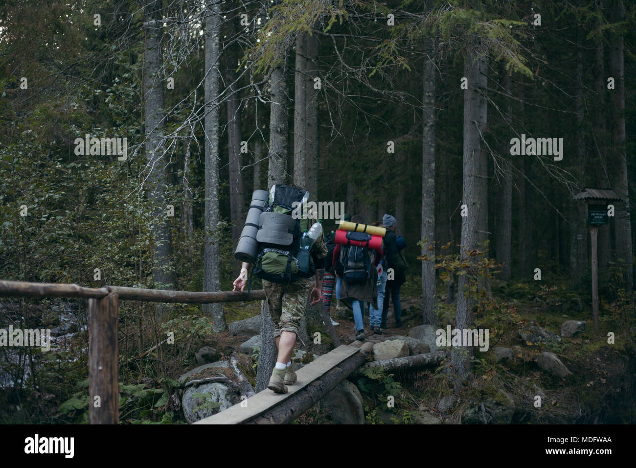 Quatre personnes marchant sur un pont en bois dans la forêt, Ukraine Banque D'Images