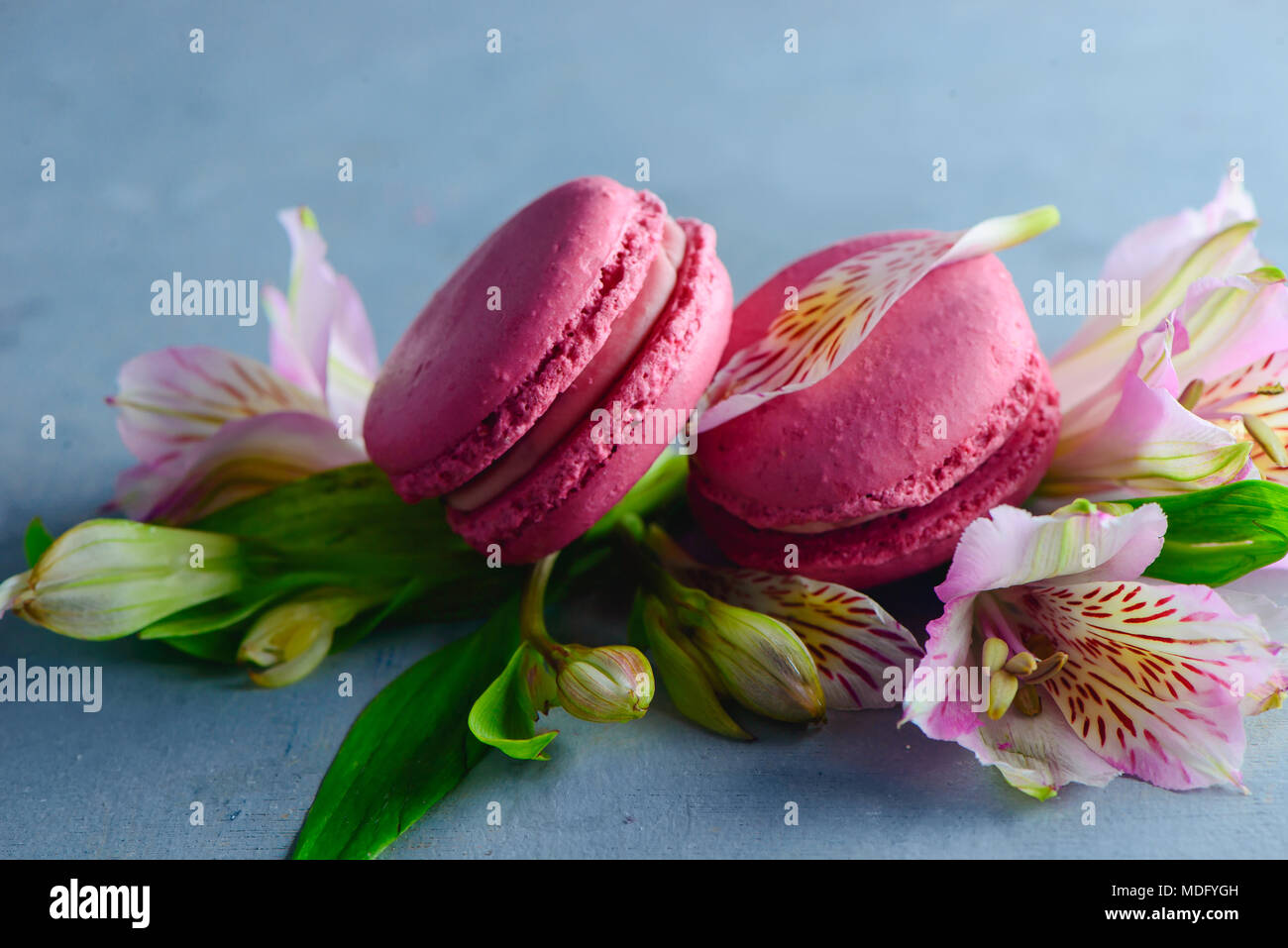 Macaron français rose alstroemeria rose des cookies avec des fleurs sur un fond en béton avec copie espace. Bonbons Saint-valentin close-up Banque D'Images