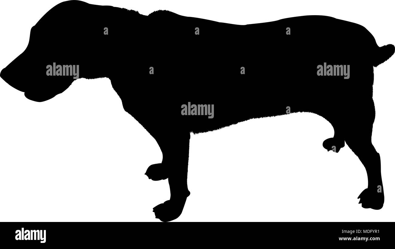 Silhouette chien labrador isolé sur fond blanc vector illustration Illustration de Vecteur
