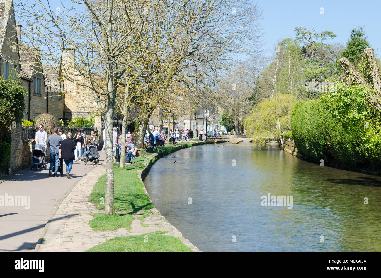 Les touristes sur la rive de la rivière Windrush dans le populaire village de Cotswold Bourton-on-the-water, Gloucestershire dans soleil du printemps Banque D'Images