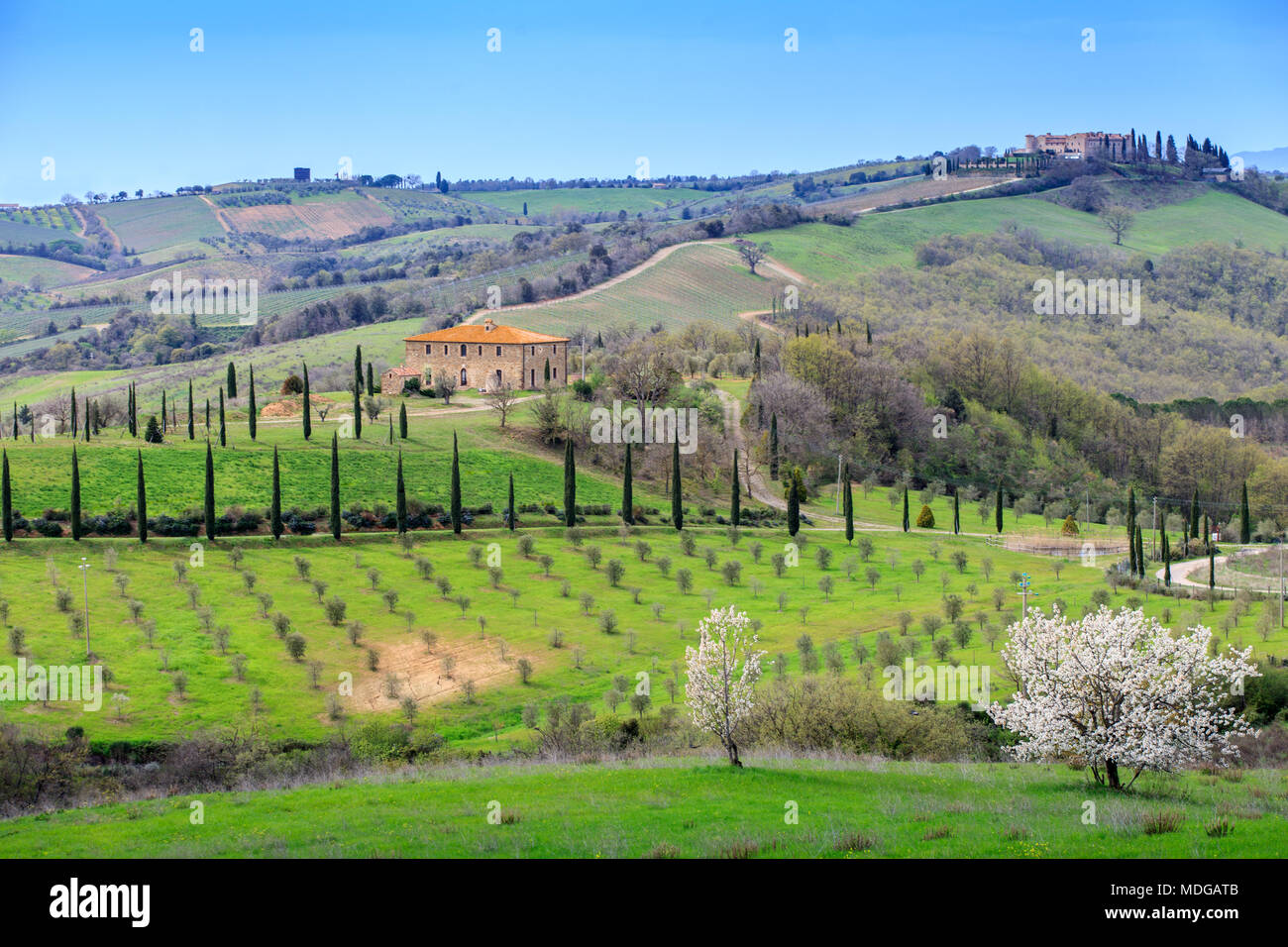 Paysage de Toscane en spécial printemps Banque D'Images
