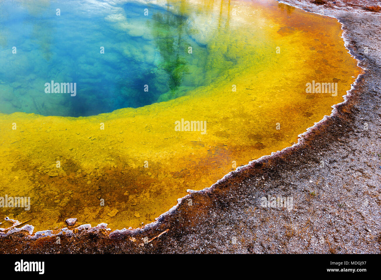 Close up de la magie des couleurs de la gloire du matin intérieure causée par les algues et différence de température à l'intérieur du Parc National de Yellowstone, Wyoming, USA. Banque D'Images