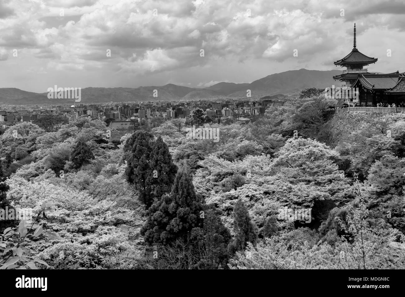 Belle vue en noir et blanc de Kyoto du temple Kiyomizu-dera, Japon Banque D'Images