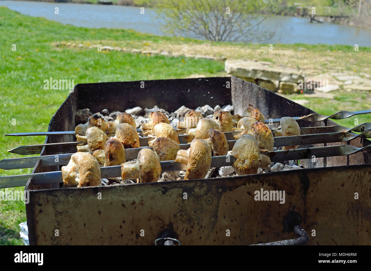 Champignons marinés préparation sur un barbecue sur charbon de bois. champignons ou shish kebab populaires en Europe de l'Est. Shashlyk (brochette de viande) a été Banque D'Images