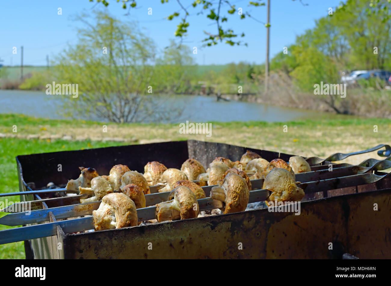 Champignons marinés préparation sur un barbecue sur charbon de bois. champignons ou shish kebab populaires en Europe de l'Est. Shashlyk (brochette de viande) a été Banque D'Images