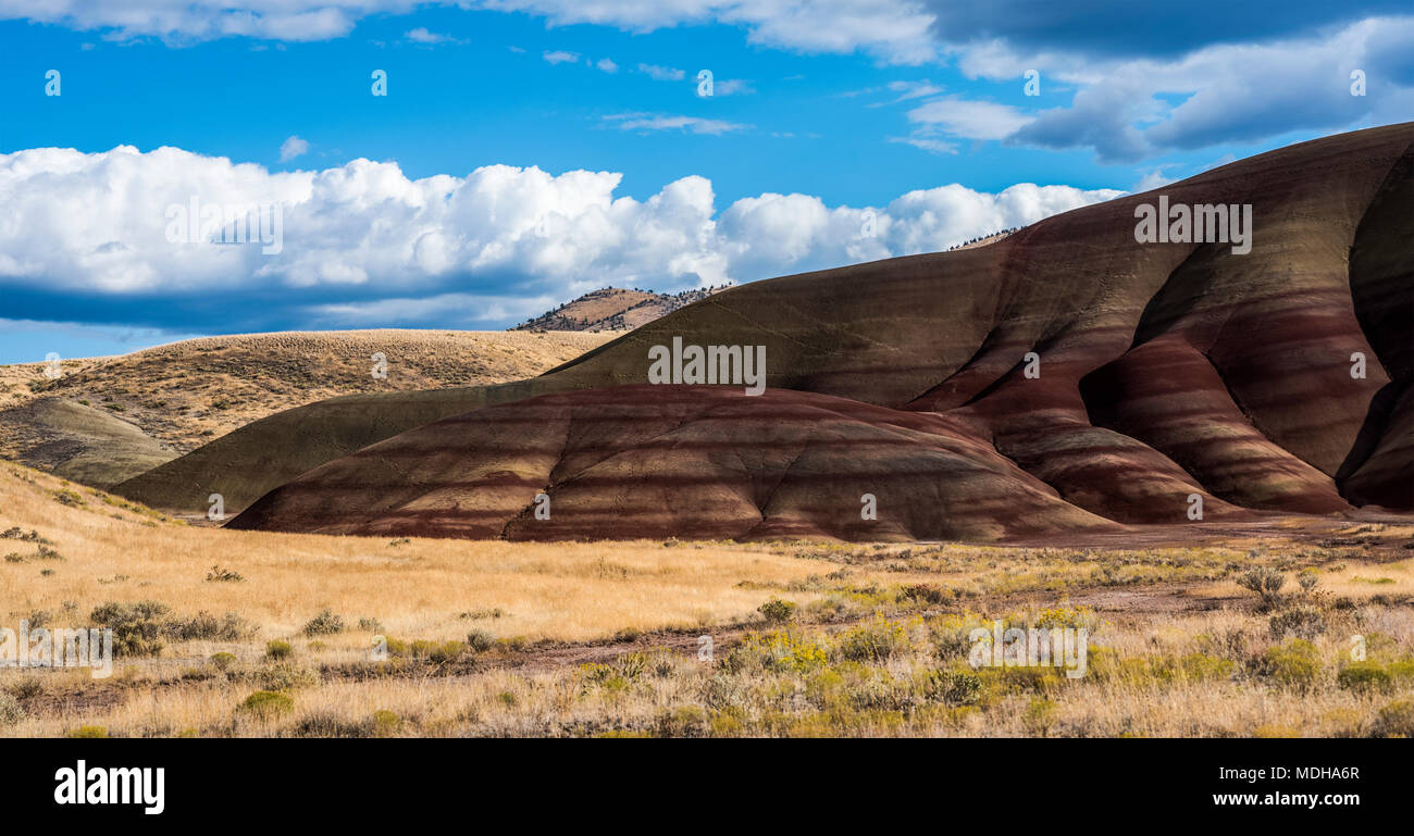 Couches colorées de minéraux sont exposés à John Day Fossil jumeaux National Monument. Pas d'herbe pousse sur les collines peintes Unit Banque D'Images