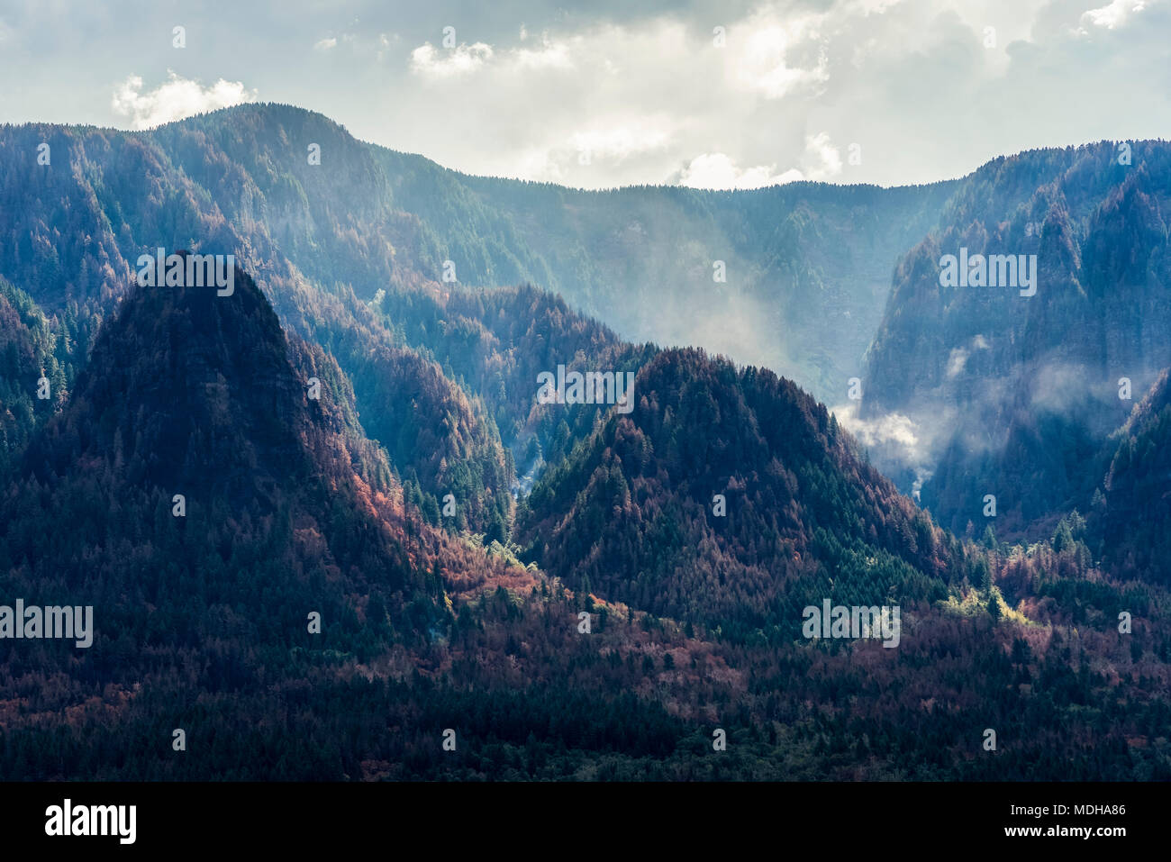 La fumée des points chauds longtemps après un incendie dans la Columbia Gorge, ; Warrendale, Oregon, United States of America Banque D'Images