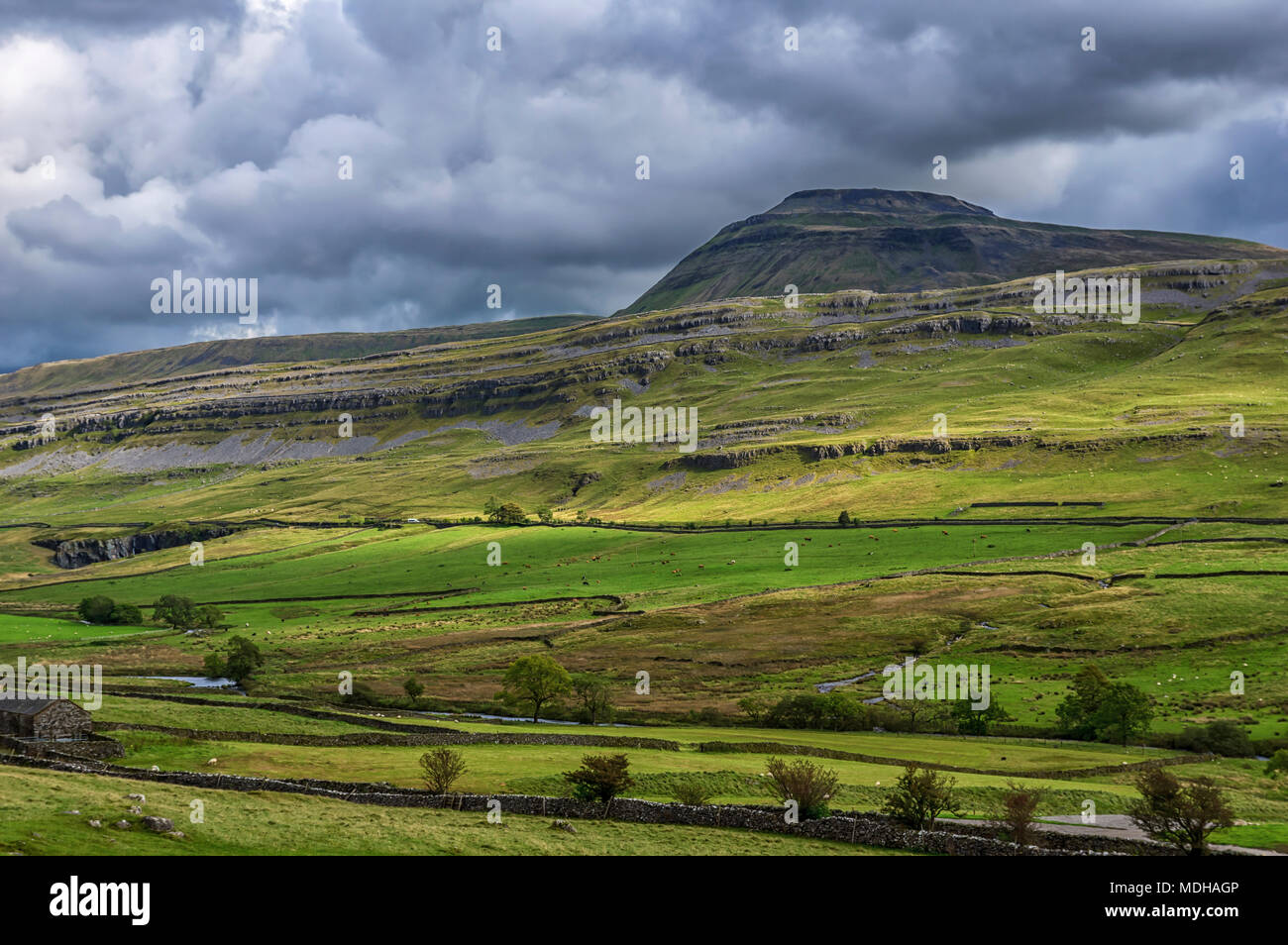 Ingleborough est la deuxième plus haute montagne des Yorkshire Dales.C'est l'un des trois sommets du Yorkshire, les deux autres étant Whernside et Pen-y.. Banque D'Images