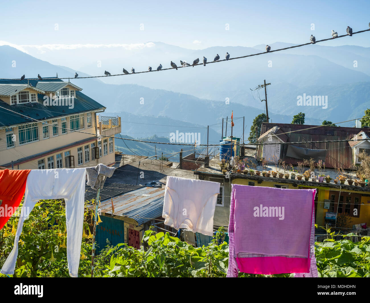 Oiseaux sur un fil électrique et un vêtement pendu sur une corde avec l'Himalaya dans la distance, Darjeeling, West Bengal, India Banque D'Images