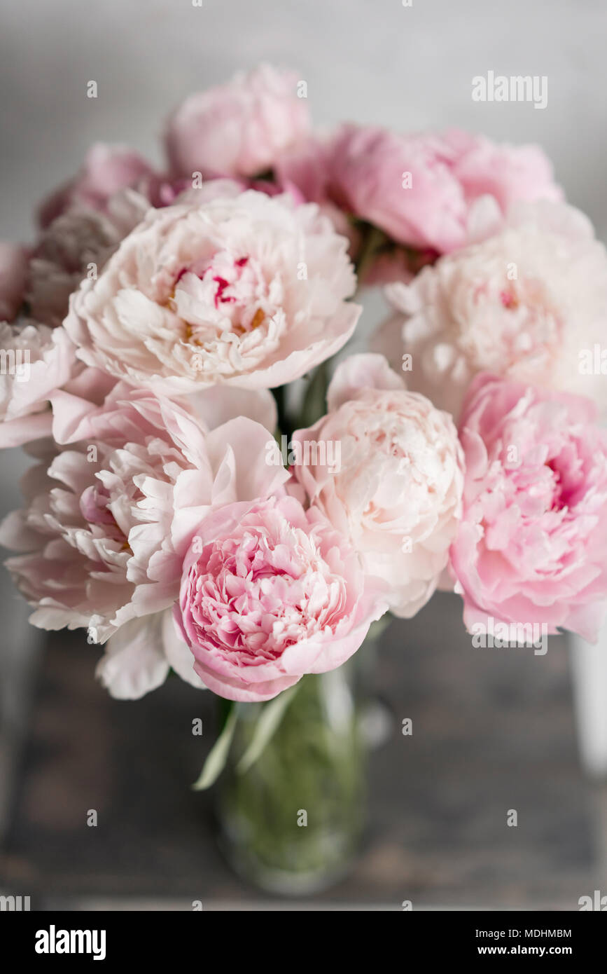 Mignon Et Jolie Pivoine Nombreux Pétales En Couches