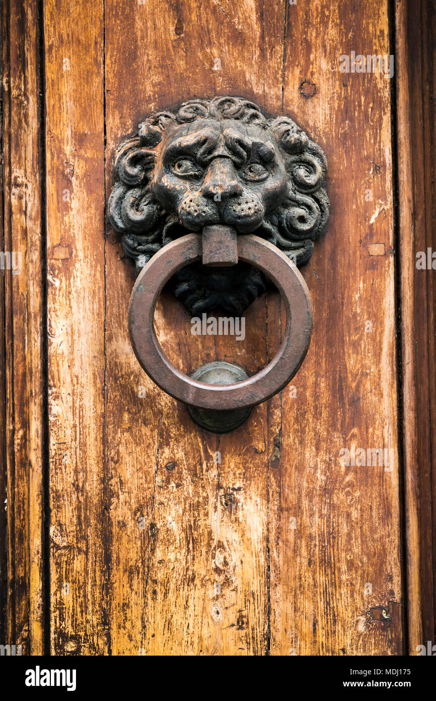 Close-up of wooden door knocker avec anneau métallique sur la vieille porte de bois ; Sienne, Toscane, Italie Banque D'Images