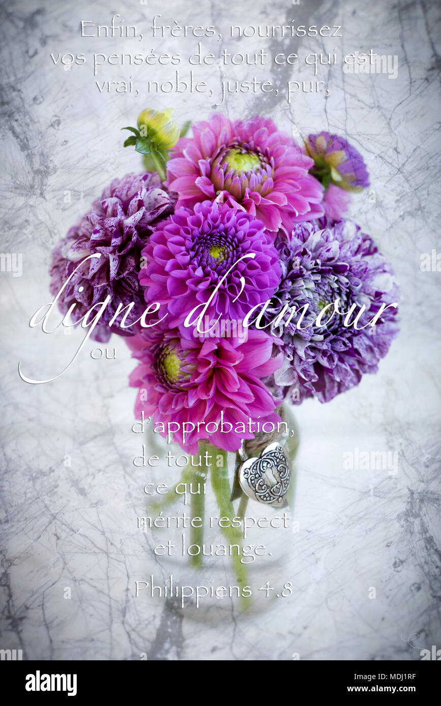 Philippiens 4:8 'tout ce qui est aimable" en français avec un bouquet de dahlias Banque D'Images