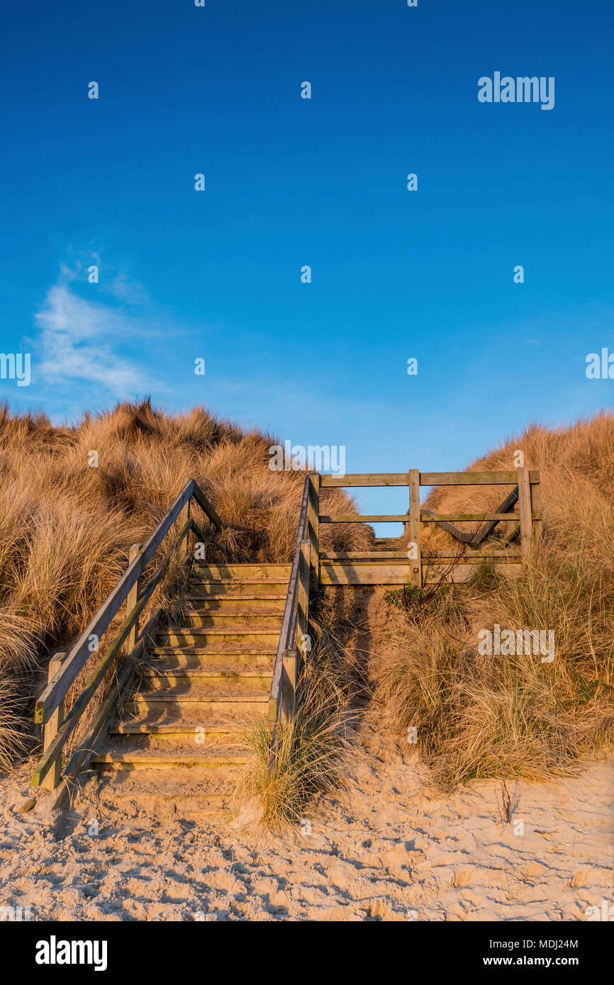 Marches en bois menant dans les dunes de la plage, à la lumière du soleil chaude au lever du soleil ; Northumberland, England Banque D'Images