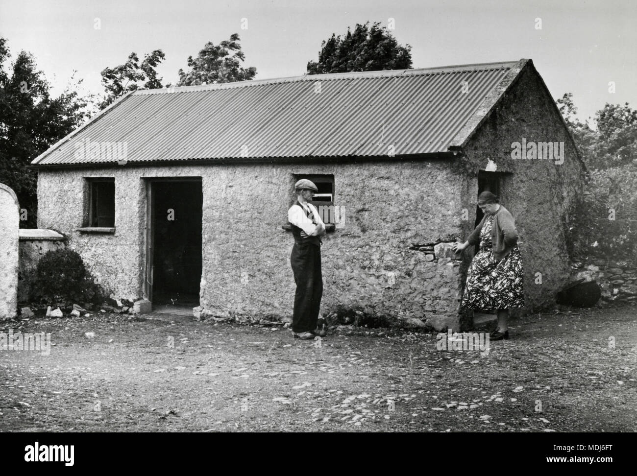 James Kennedy, cousin de JFK, dans sa ferme irlandaise, Dungenstown, Irlande Banque D'Images