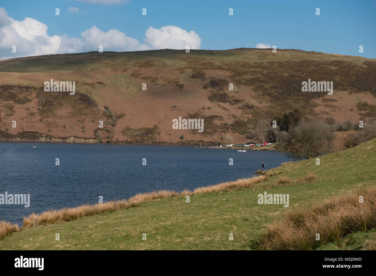 Llyn Clywedog Réservoir.. Powys. Pays de Galles Banque D'Images