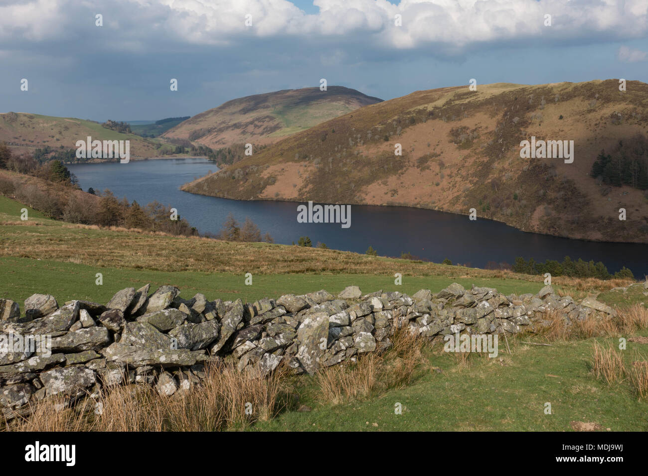 Llyn Clywedog Réservoir.. Powys. Pays de Galles Banque D'Images