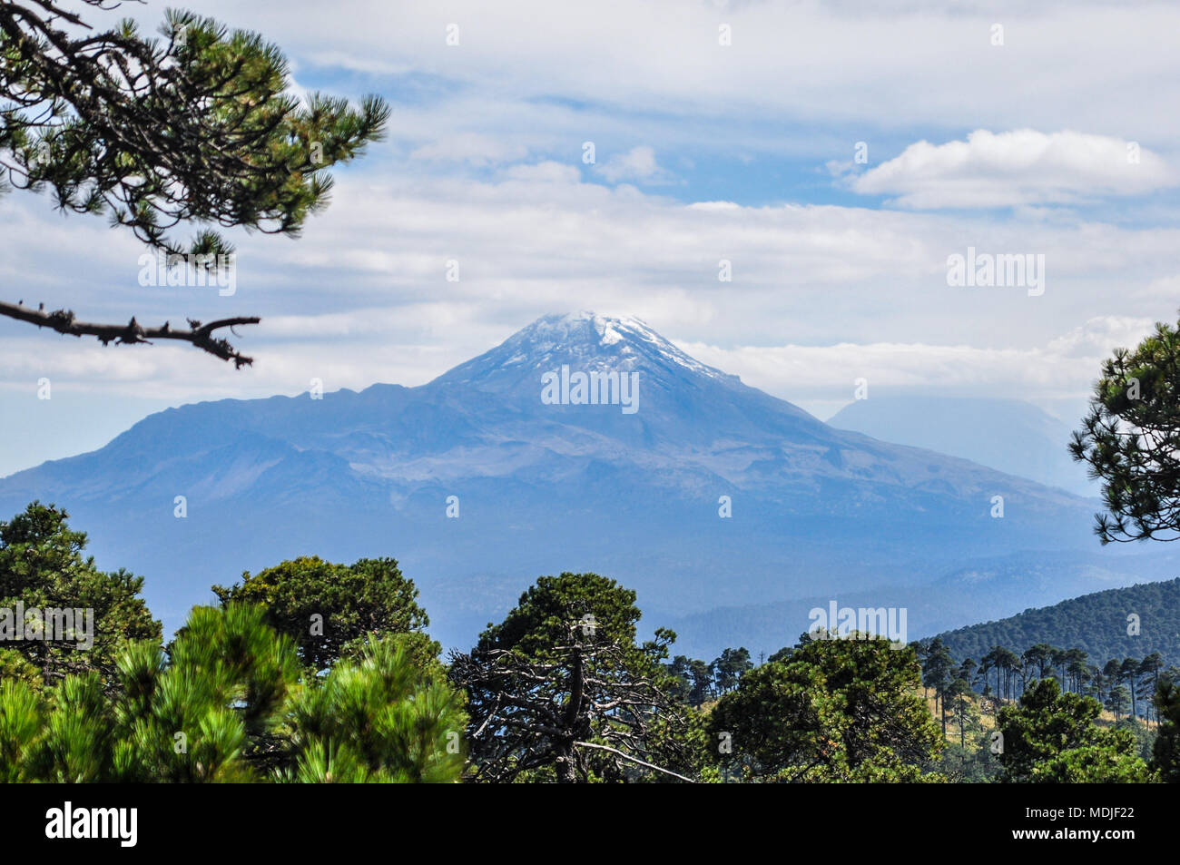 Vu Izztaccihuatl Vulcan de Mt. Tlaloc au Mexique dans une forêt de pins, une partie de la ceinture volcanique Trans-Mexican un très important pour un milieu nord am Banque D'Images