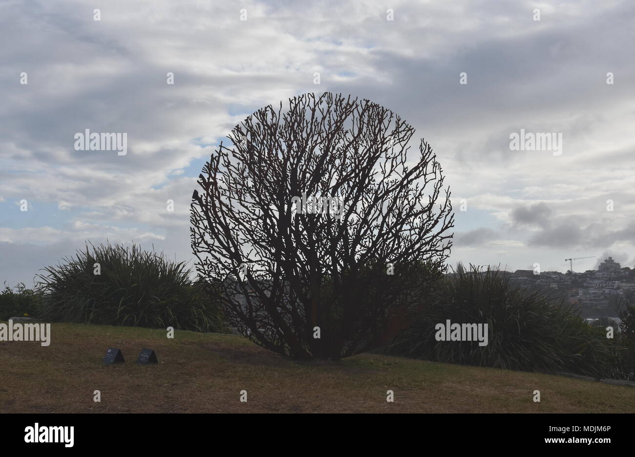 Sydney, Australie - Oct 27, 2017. Rabbin Tsadok : Soleil Lune. Sculpture par la mer le long de la promenade côtière de Coogee à Bondi est la plus importante du monde Banque D'Images