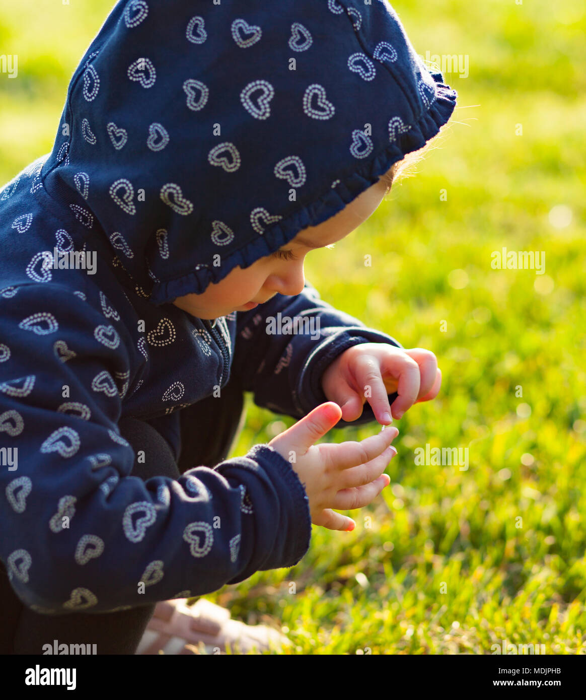 Little baby girl joue heureux dans le parc à l'extérieur au printemps et recueille des marguerites. Banque D'Images
