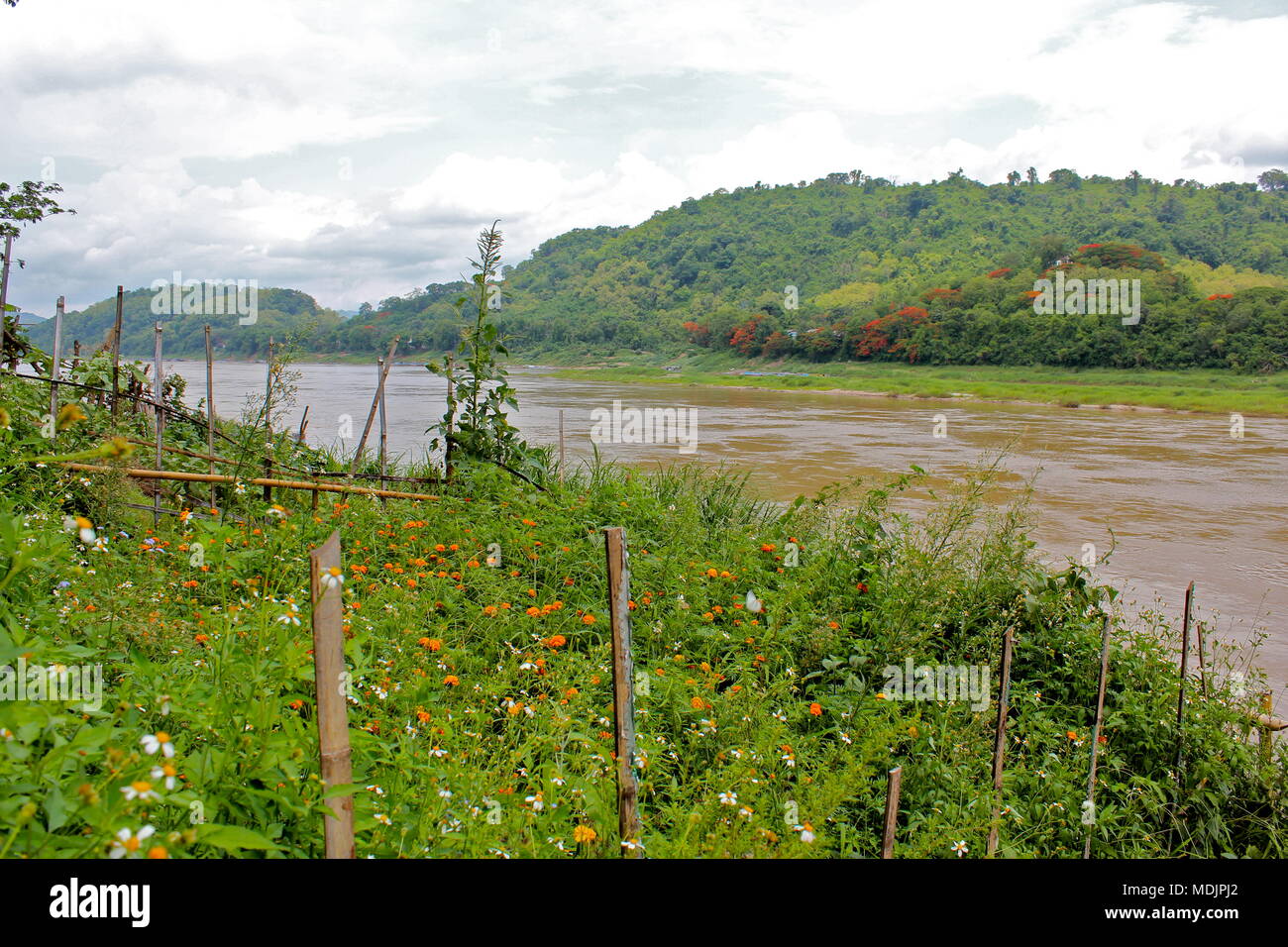 Luang Prabang, Laos, 2016. Banque D'Images