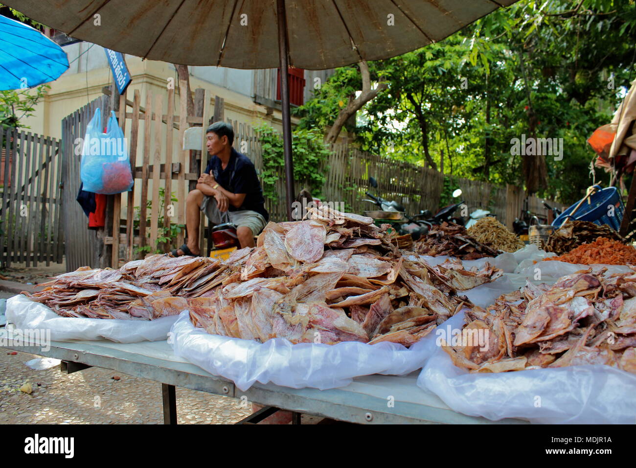 Marché du matin, Luang Prabang, Laos, 2016. Banque D'Images