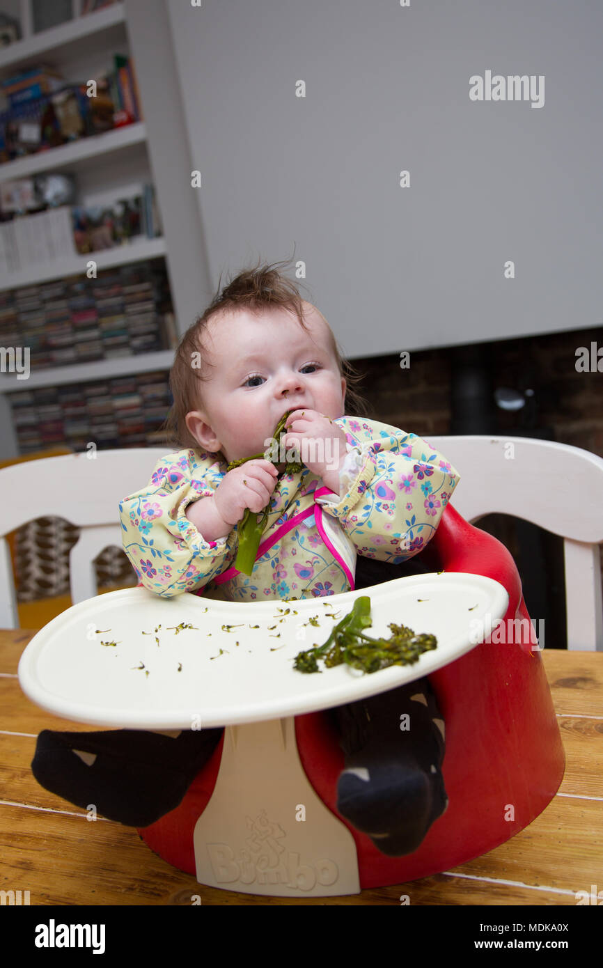 Sevrage De Bebe Led De 6 Mois Mangeant Des Tenderstans De Broccoli Photo Stock Alamy