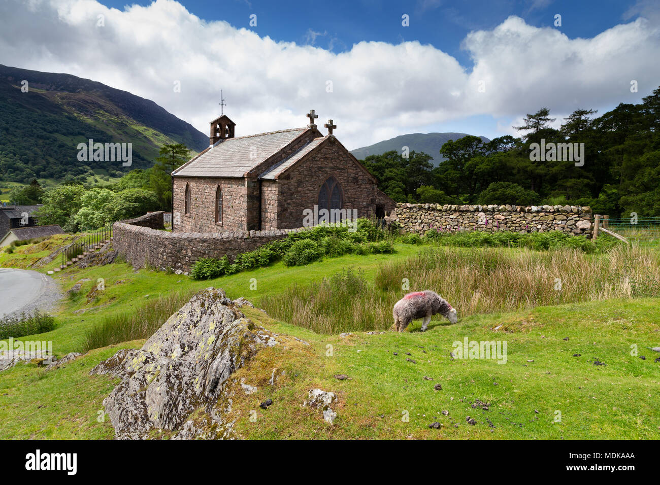 St James Church Buttermere entouré par un mur en pierre sèche. Le Lake District Cumbria UK avec des moutons paissant dans l'avant-plan Banque D'Images