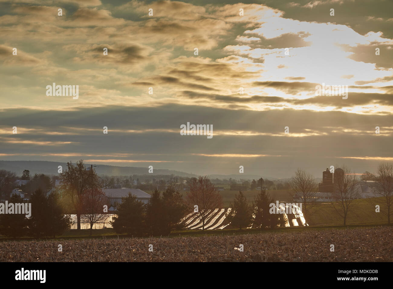 Pays agricole à l'aube, le comté de Lancaster, Pennsylvanie, USA Banque D'Images
