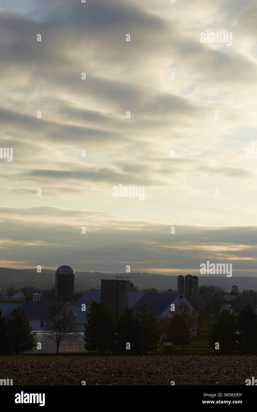 Pays agricole à l'aube, le comté de Lancaster, Pennsylvanie, USA Banque D'Images