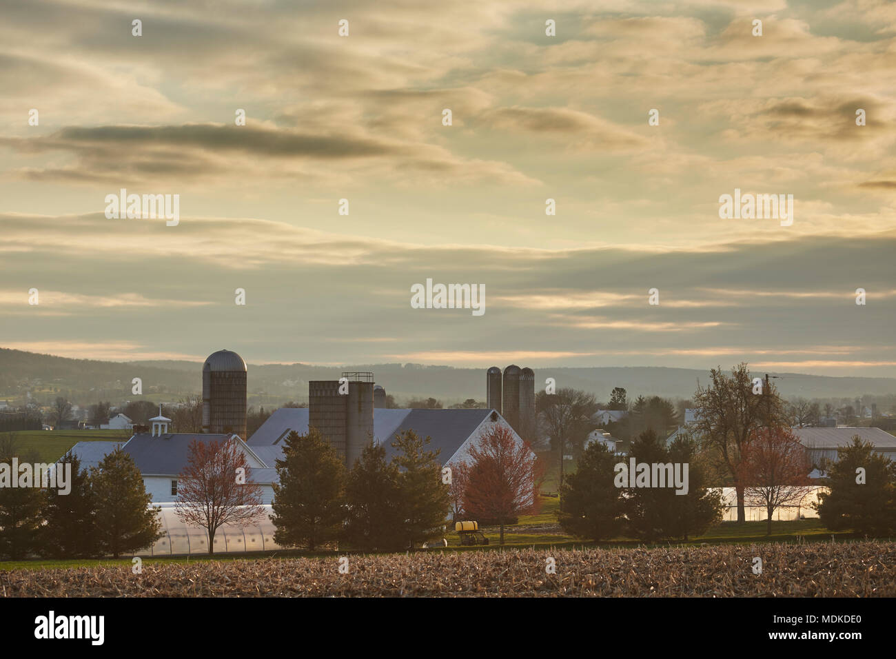 Pays agricole à l'aube, le comté de Lancaster, Pennsylvanie, USA Banque D'Images
