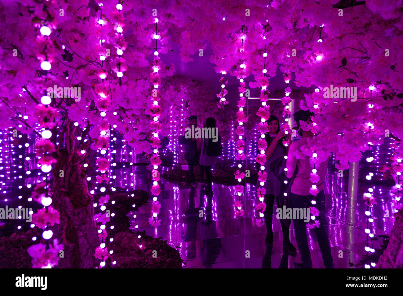 Sakura cherry blossom salle des glaces, l'Infini Jardin de "sens de l'espace" dans l'installation de Exchange Square, Liverpool Street, London, UK Banque D'Images