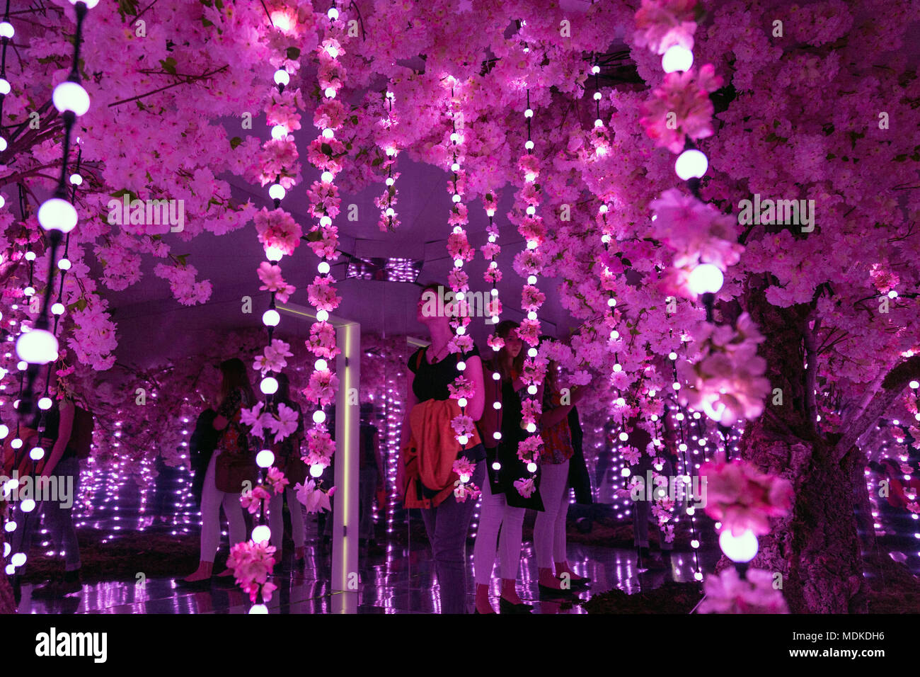 Sakura cherry blossom salle des glaces, l'Infini Jardin de "sens de l'espace" dans l'installation de Exchange Square, Liverpool Street, London, UK Banque D'Images