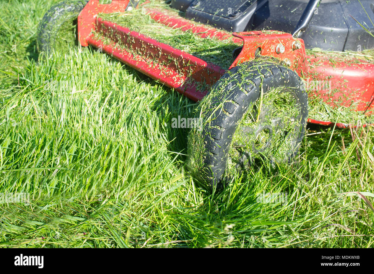 Tondeuse plein de brins d'herbe juste après le travail. Libre Banque D'Images