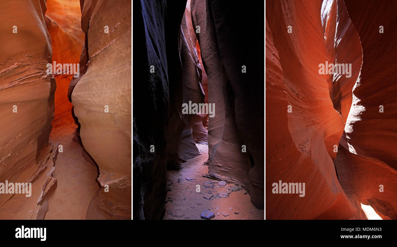 Compilation de Peek A Boo slot canyon, à fourche à sec, une succursale de Coyote Gulch, trou dans le Rock Road, Grand Staircase Escalante National Monument (Utah) Banque D'Images