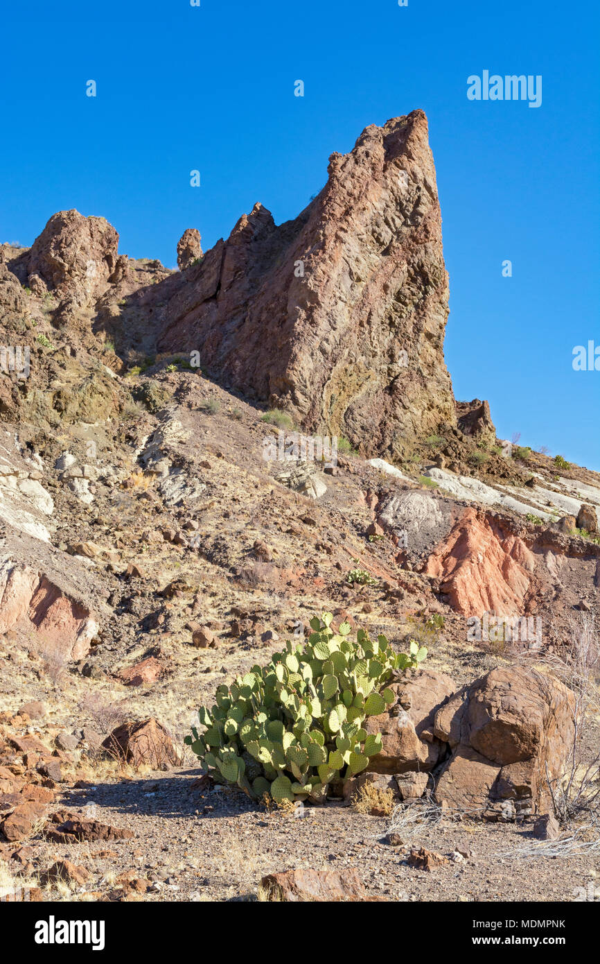 Texas, Big Bend National Park, Ross Maxwell Scenic Drive, vue de la route Banque D'Images