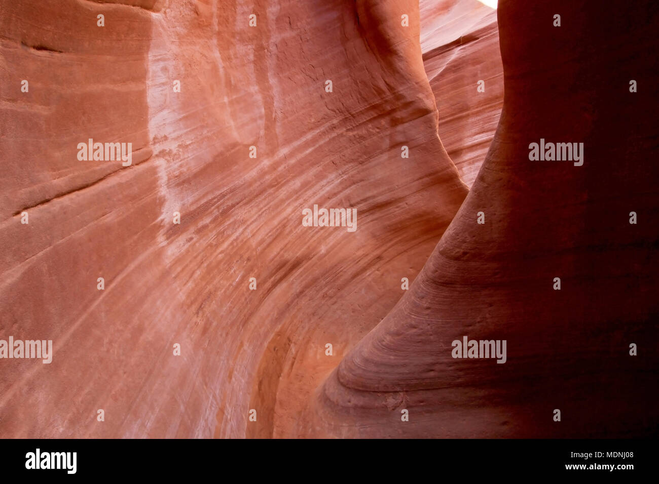 Peek A Boo slot canyon, à fourche à sec, une succursale de Coyote Gulch, trou dans le Rock Road, Grand Staircase Escalante National Monument, Utah, USA Banque D'Images