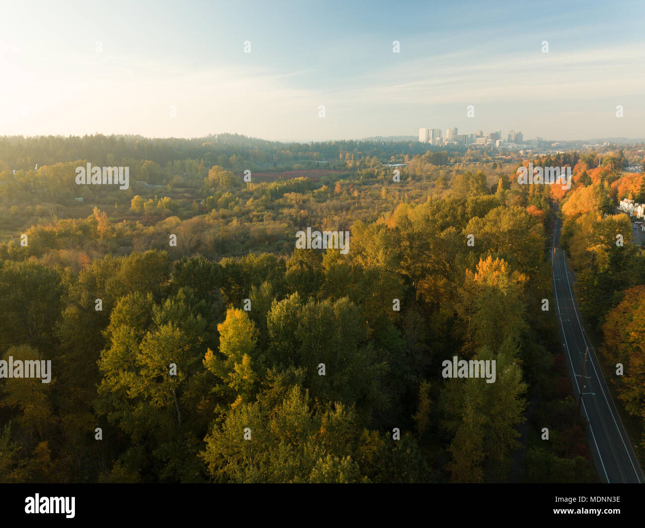 Le centre-ville de Bellevue, WA de dessus Mercer Slough Nature Park. Banque D'Images