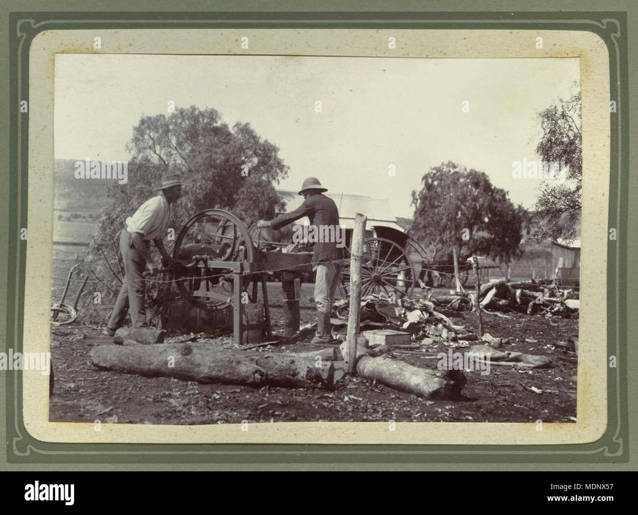 L'utilisation de la raquette pour le fourrage au cours de la sécheresse 1920 Kingsthorpe Banque D'Images