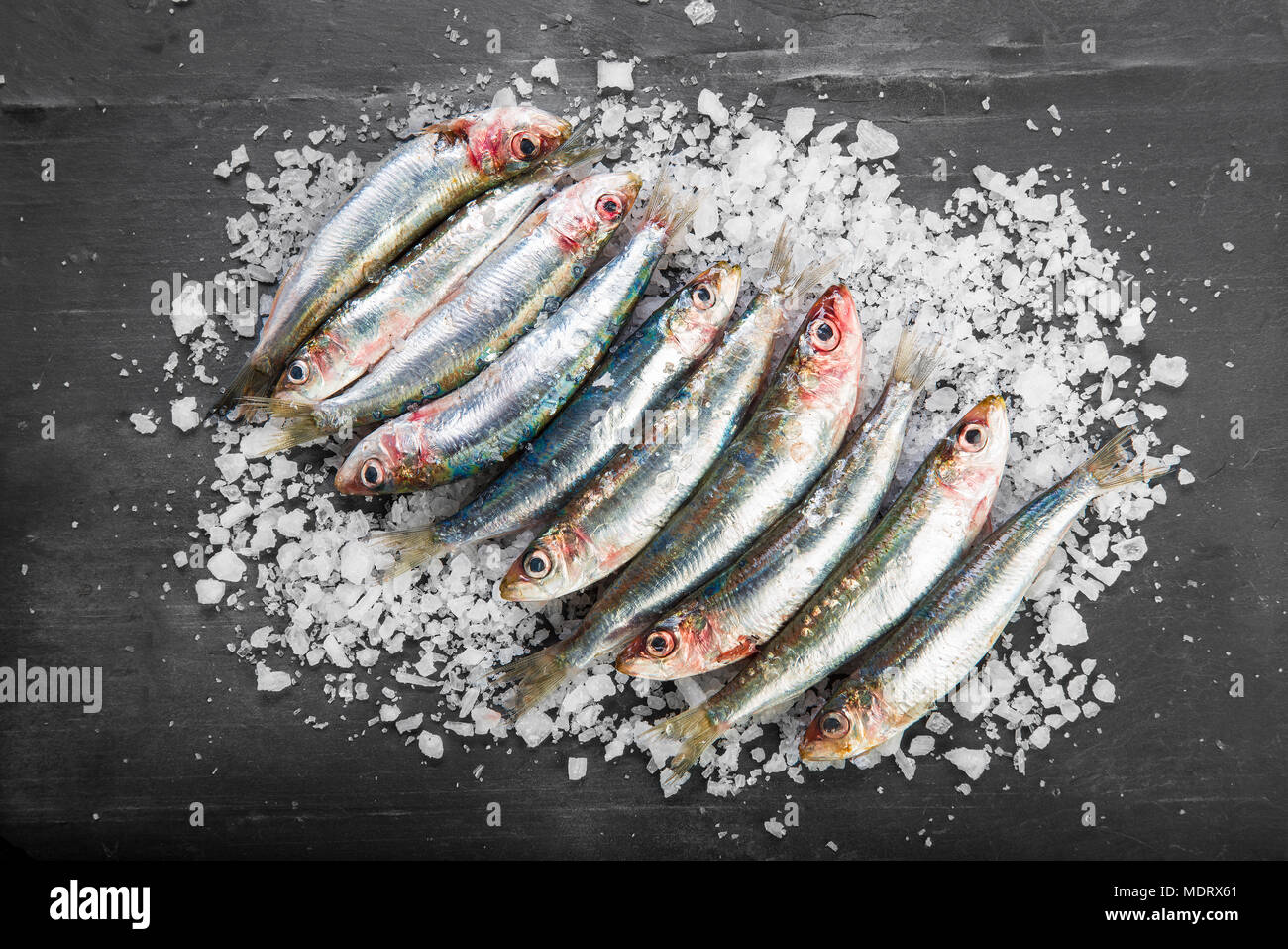 Sardines fraîches sardines ou sur une couche de gros sel sur un fond  d'ardoise Photo Stock - Alamy